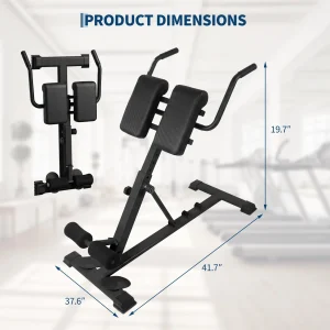 Roman Chair Hyper extension Bench